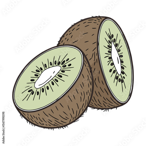 Kiwi fruit illustration in a hand drawn, vintage style. Color vector sketch of a sliced fresh kiwi isolated on white background.