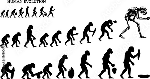 Wallpaper Mural human evolution It was an evolutionary process that led to the appearance of Contemporary man, background
 Torontodigital.ca