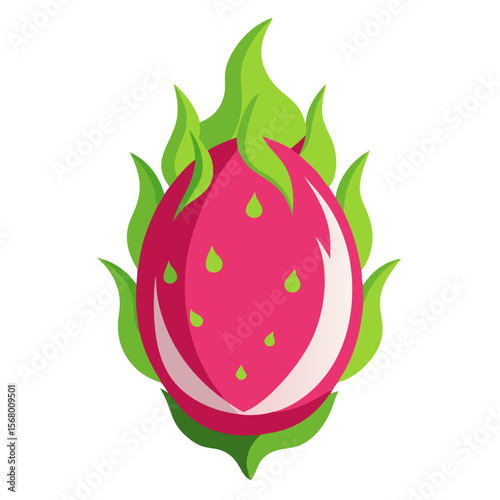 Dragon Fruit isolated fruit silhouette