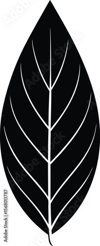 Single bay leaf silhouette simple design element
