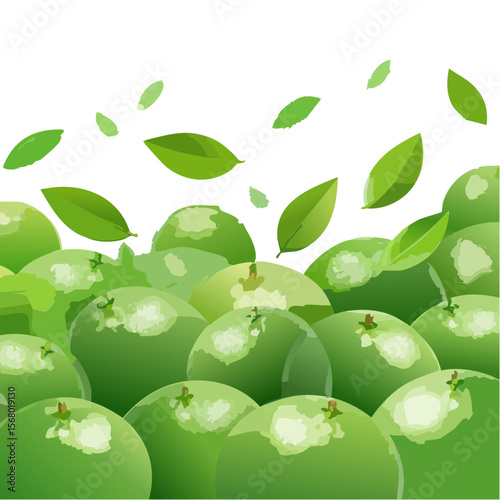 Fresh Green Citrus Fruit Arrangement with Leaves