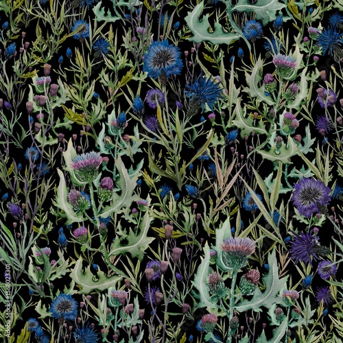 Fototapeta Naklejka Na Ścianę i Meble -  Seamless pattern with wild flowers thorns, cornflowers, grass, hand drawn with colored pencils and watercolor