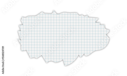A scrap of checkered paper