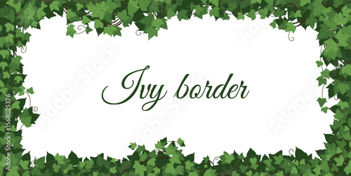 Ivy border. Plant climbing. Leaf tree, grass wall. Floral interior garden. Green jungle with architecture. Natural design. Horizontal banner template with copy space. Vector organic decorative foliage