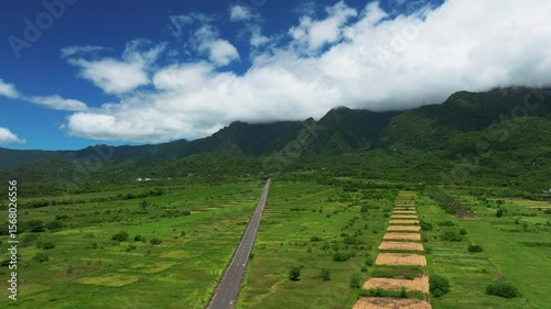 Aerial view of Beautiful rice fields and road in Taitung ,Taiwan.