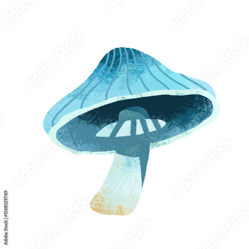 Blue Mushroom autumn isolated fall