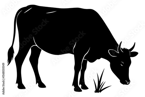 silhouette of a cow