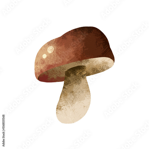 Mushroom fall illustration autumn isolated