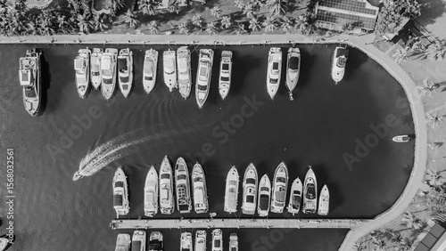 Top-down drone photo of a palm-lined marina in Angra dos Reis, Rio de Janeiro state. Luxury yachts sit moored along the curved seawall while a small craft leaves a white wake across deep green water. 
