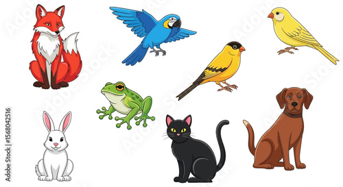 Vector cartoon animals illustration of fox parrot birds frog rabbit cat and dog vector graphic design image