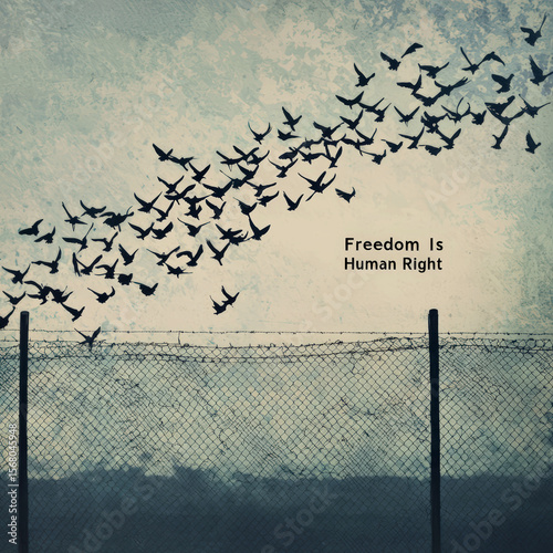 AI Generated Art: Birds Soaring Above a Fence - Freedom Is a Human Right