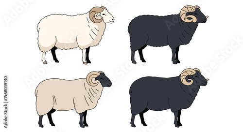 Illustrations of Four Sheep With Different Wool Colors and Horns