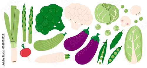 Collection of vegetables: cabbage, cauliflower, broccoli, Chinese cabbage, spring onion, radish, eggplant, zucchini, peas, asparagus. Healthy vegetarian food. Hand drawn flat vector illustration