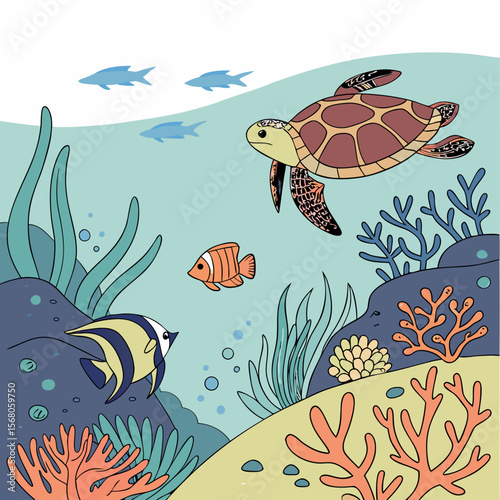  shallow water reef dwellers