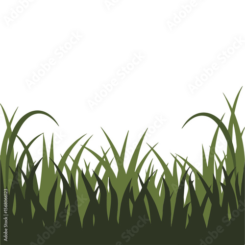 Silhouette of Grass and Plants