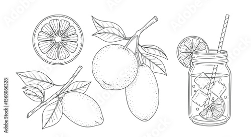 Refreshing Citrus Drink with Lemons and Slices for Summer Refreshment