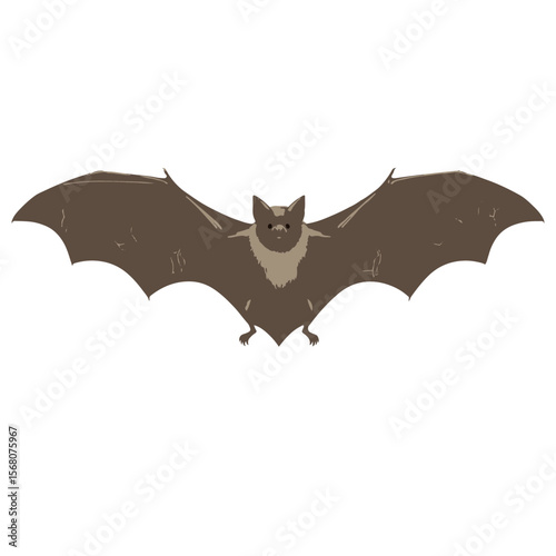 Realistic Flying Bat Illustration Isolated on Transparent Background, Detailed Vector Art of a Bat with Wings Spread, Spooky Bat - Realistic Wildlife Illustration.