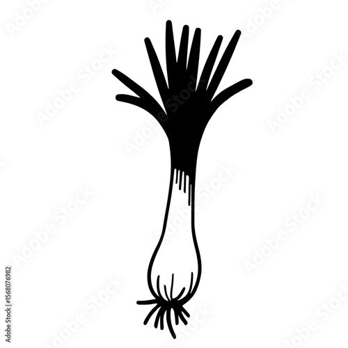 Minimalist black silhouette of a leek with elongated lines on white background