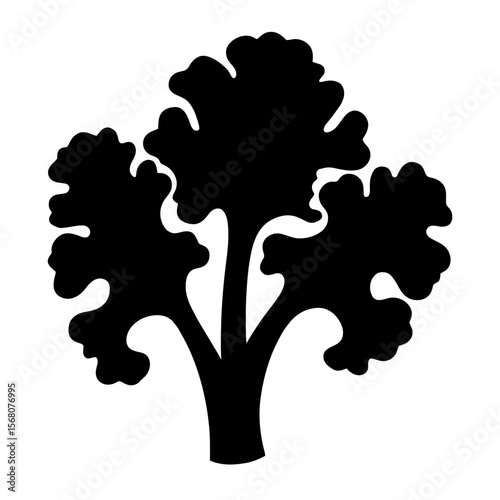 Minimalist black silhouette of kale with curly leaves on white background