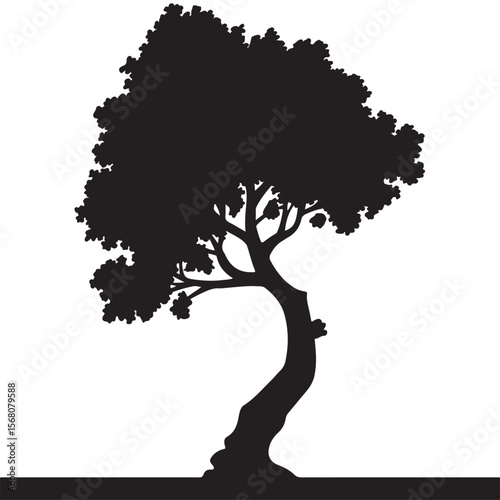 A striking silhouette of a lush tree with dense foliage.