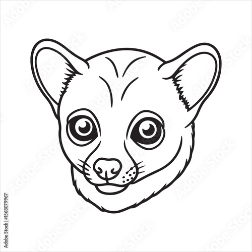 Jungle Nightcrawler: The Mysterious Charm of the Kinkajou