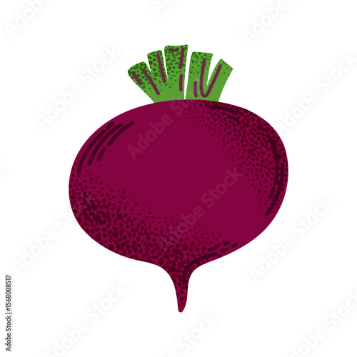Whole red beetroot with green top. Simple flat style with textured shading. For food, farm, and healthy eating designs.