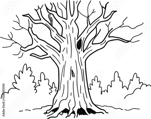 Bare Oak Tree Illustration: A stark, wintery illustration of a large oak tree, its branches bare against a simple background.  The tree's strong trunk and visible roots suggest age and resilience.