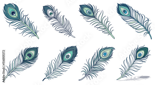 Seamless Pattern of Vibrant Peacock Feathers for Ethnic Background Design