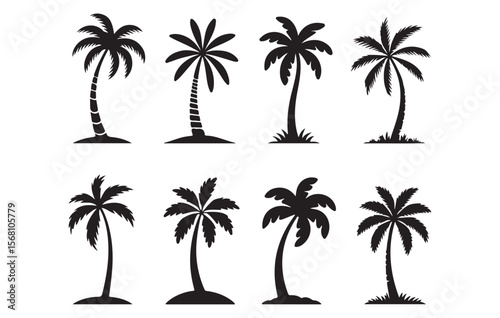 Black palm trees on white background tropical silhouette