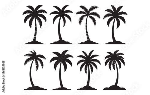 Black palm trees silhouettes on white background tropical beach