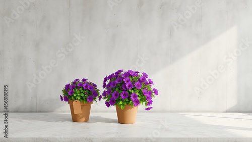 Vibrant purple flowers in terracotta pots adorn a minimalist surface, bathed in natural light against a textured wall backdrop