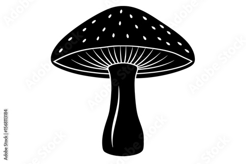 mushroom isolated on black