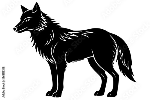 wolf vector illustration