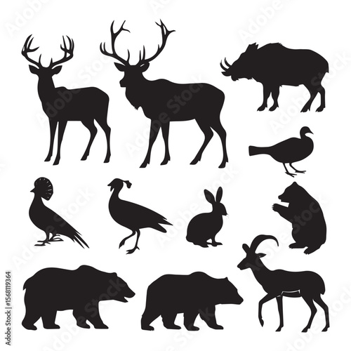 Deer boar bear bird rabbit antelope stag wild boar