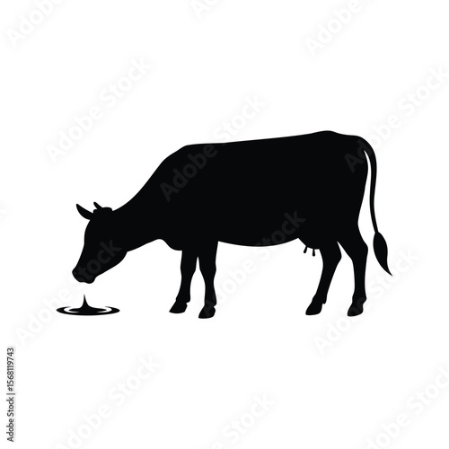 Silhouette of a cow drinking water from a puddle in black