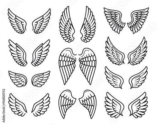 Divine Designs: A collection of intricately illustrated wings, each showcasing a unique design, invites viewers to contemplate concepts of flight, freedom, and spiritual elevation.