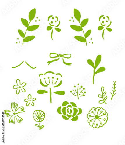 botanical