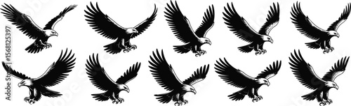 Flying bald eagle silhouette illustration, fierce hunting bird, powerful wings spread, raptor in flight, wildlife vector art, majestic predator pose flat vector illustration