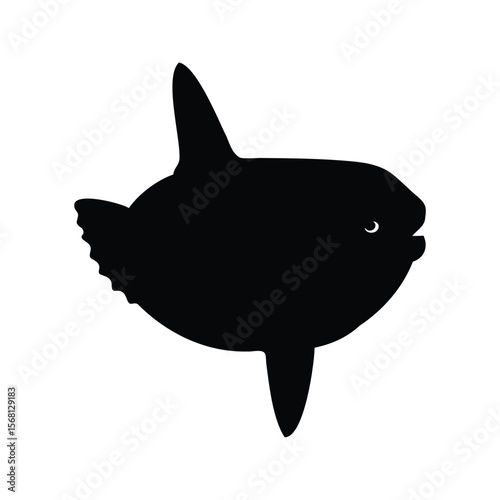 Silhouette of Ocean Sunfish Mola mola on white background, isolated fish