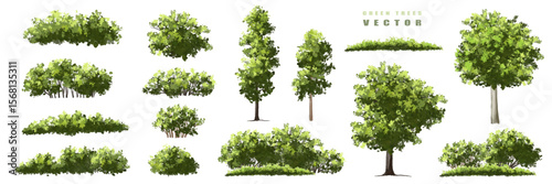 Vector of green tree side view isolated on white background ,watercolor tree elevation for landscape concept,environment scene,eco design, garden for spring