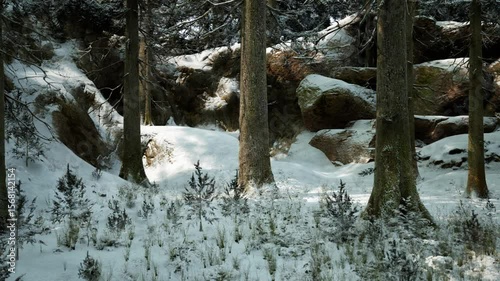 The winter forest features tall trees surrounded by a blanket of snow, with rocky formations partially visible. A serene landscape evokes a peaceful, chilly atmosphere typical of cold months.