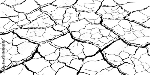 High-contrast cracked earth texture in black and white. Perfect for backgrounds, drought, climate change visuals, or abstract design with broken, fragmented surface patterns.