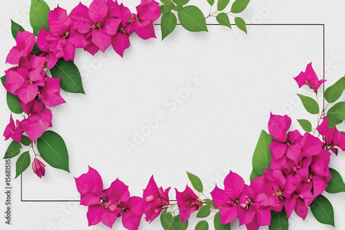 Beautiful bougainvillea spring floral blossom border isolated on transparent background. Colorful flower frame. blossom flower with green leaves. Mockup from flowers. Spring summer design elements ...