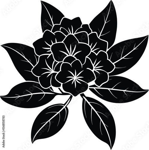 Mountain laurel flower with leaf silhouette.