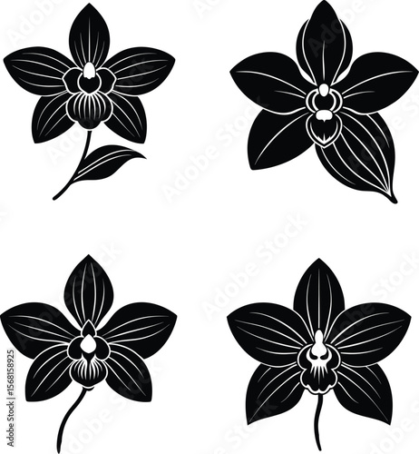 Orchid flower with leaf silhouette illustration.