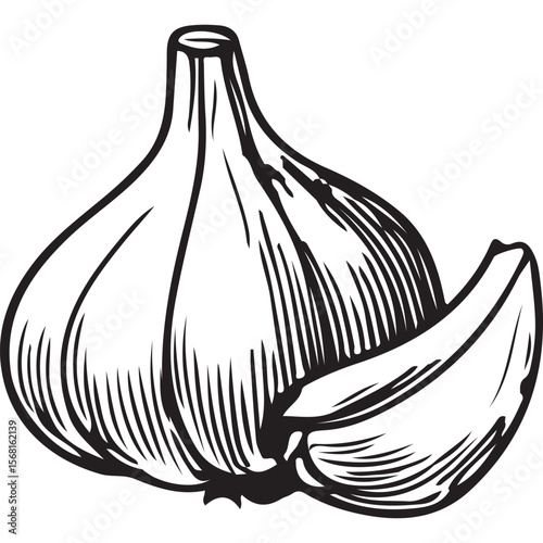 Garlic bulbs