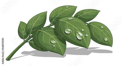Green Leaves With Water Droplets Detailed Natural Beauty Isolated Transparent Background