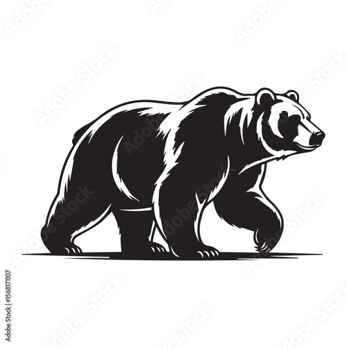 Illustration of a bear walking, isolated on a white background.