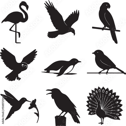 Diverse Animal Silhouettes Collection: Birds, Mammals, and Insects in Various Poses