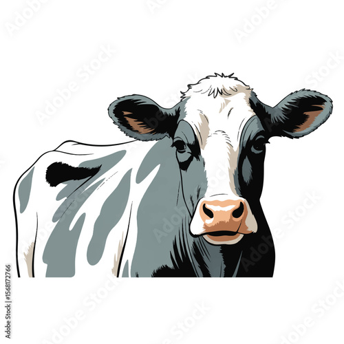 Illustration of a black and white cow looking forward, isolated on a white background.